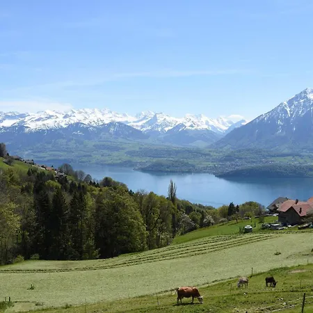 Niesen In See- Und Bergnaehe, Modern, Erdgeschoss, Ohne Treppen, 4 Gaeste * Spiez