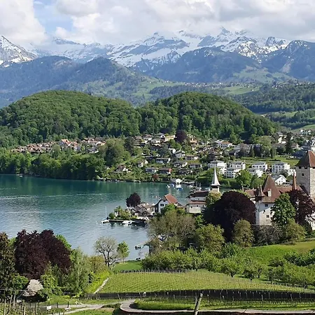 Niesen In See- Und Bergnaehe, Modern, Erdgeschoss, Ohne Treppen, 4 Gaeste Apartment *