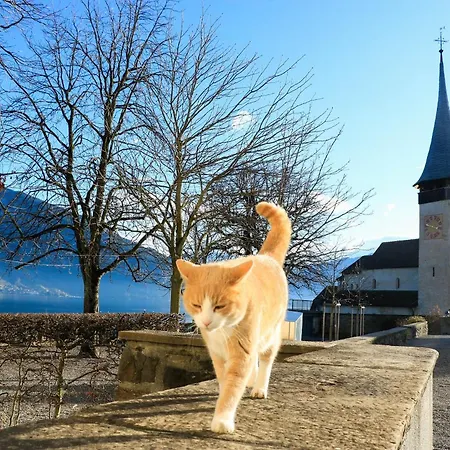Niesen In See- Und Bergnaehe, Modern, Erdgeschoss, Ohne Treppen, 4 Gaeste شقة