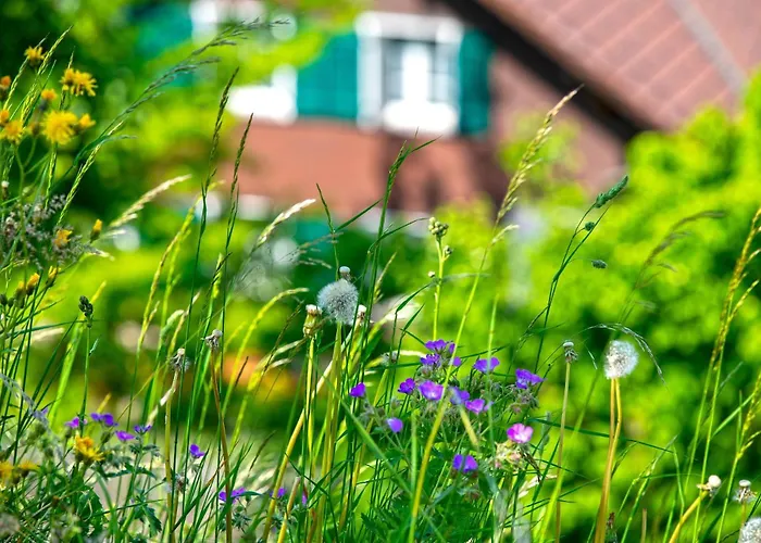 Apartmán Niesen In See- Und Bergnaehe, Modern, Erdgeschoss, Ohne Treppen, 4 Gaeste Spiez