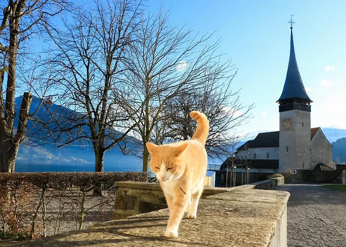 Niesen In See- Und Bergnaehe, Modern, Erdgeschoss, Ohne Treppen, 4 Gaeste Apartmán