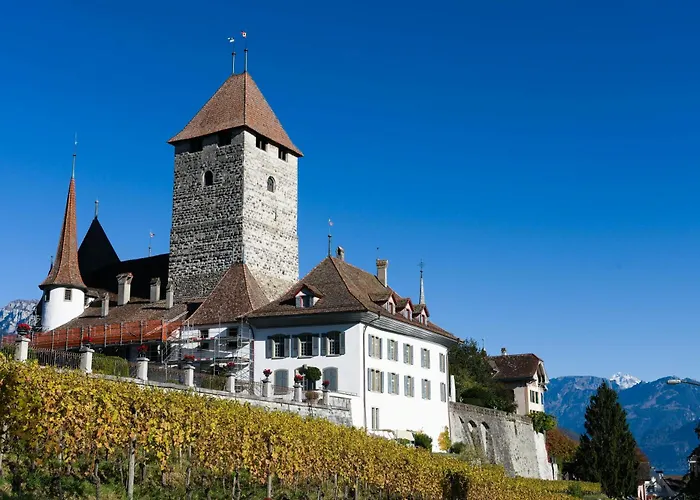 Niesen In See- Und Bergnaehe, Modern, Erdgeschoss, Ohne Treppen, 4 Gaeste *